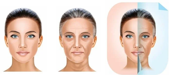 md-codes-especialista-sp Aplicação Md Codes Especialista em MD CODES Sao Paulo Aplicação Md Codes