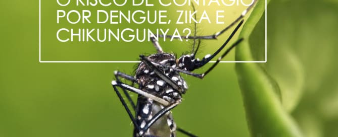 Dengue, zika e chikungunya, no inverno?