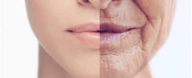 021 Idade de sua pele 1 Idade de sua pele