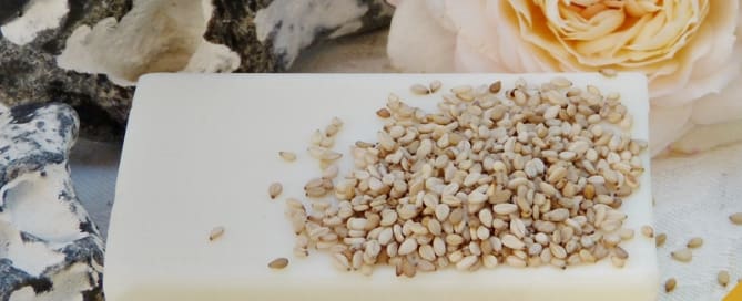 Cosmético Orgânico