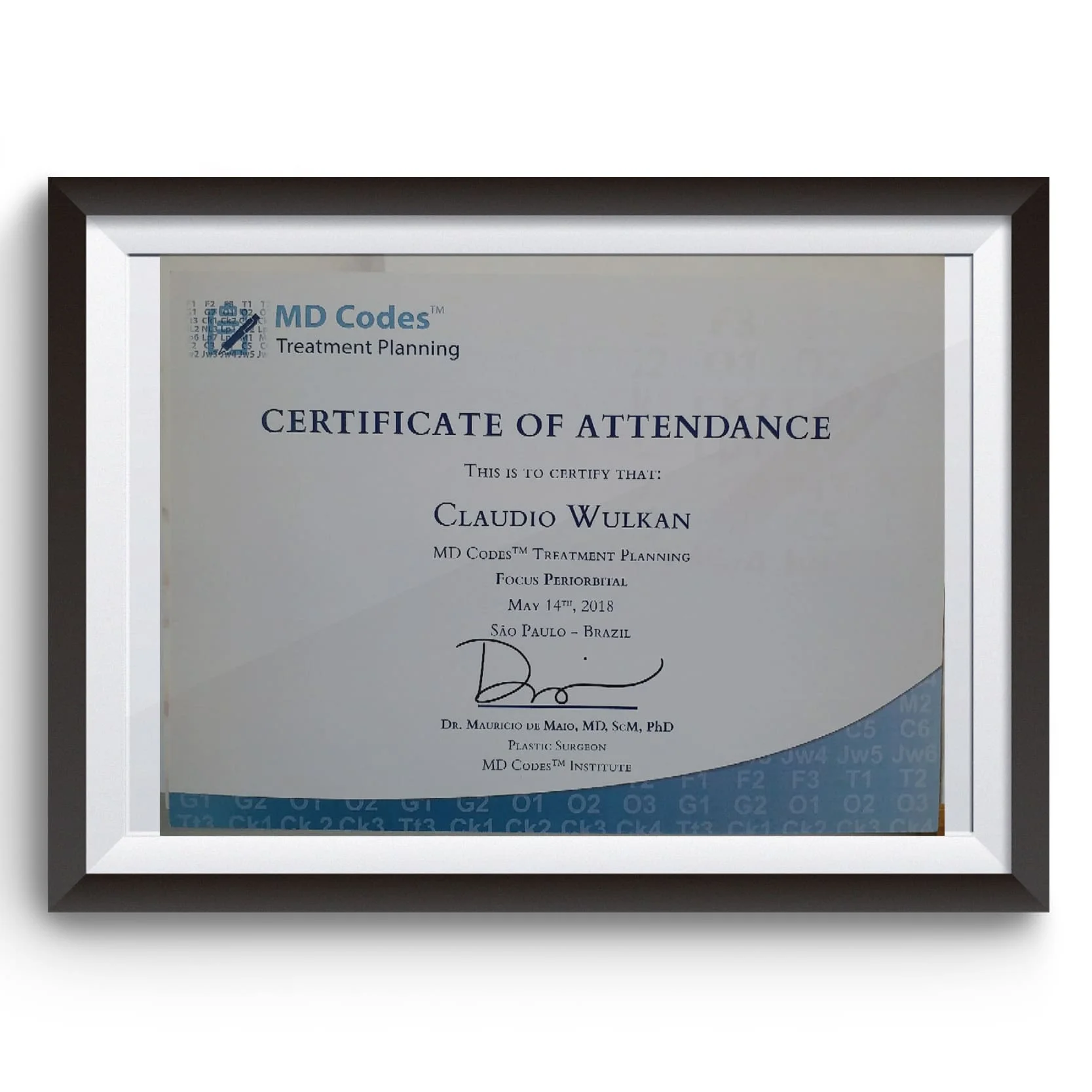Diploma e certificado do Dr. Claudio Wulkan