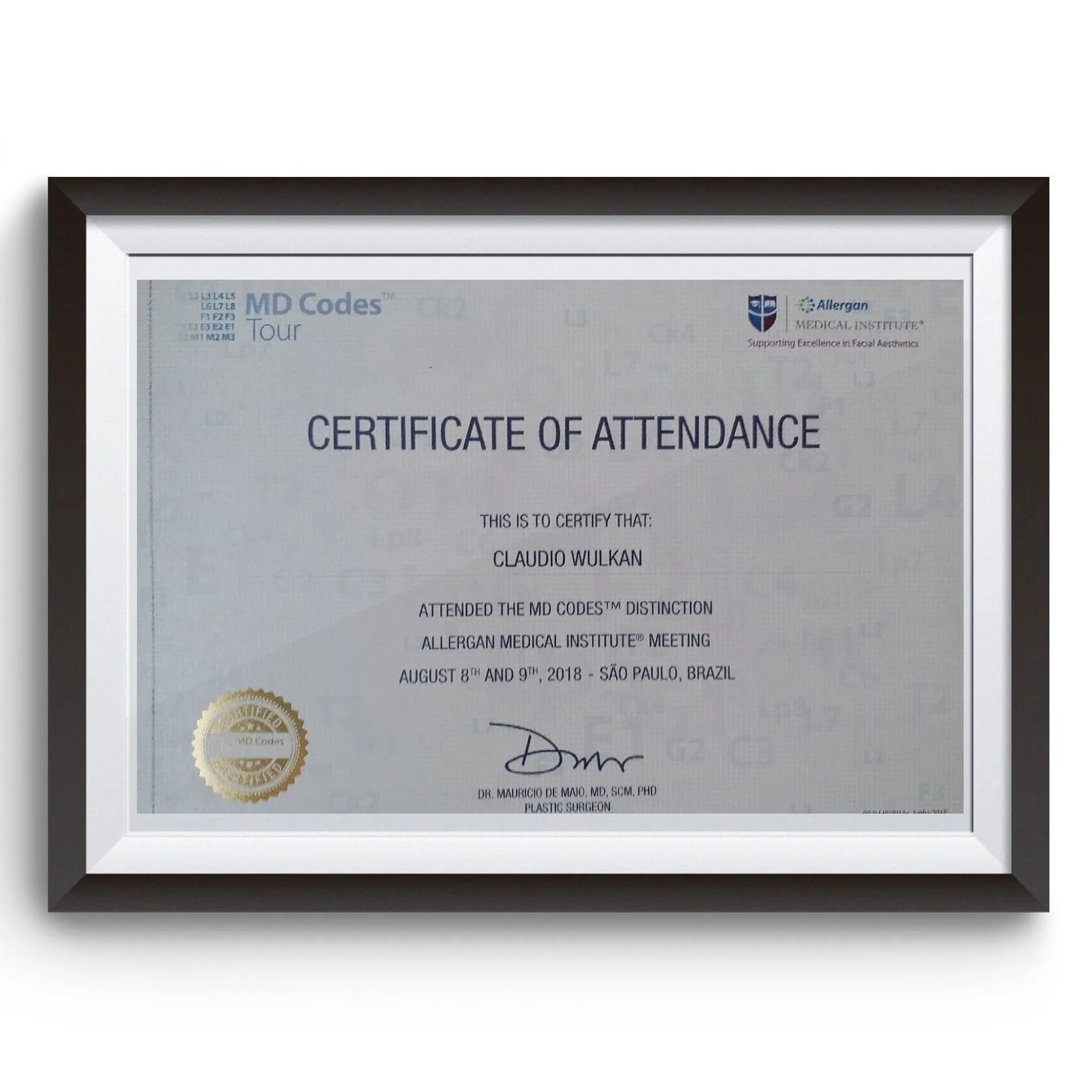 Diploma e certificado do Dr. Claudio Wulkan