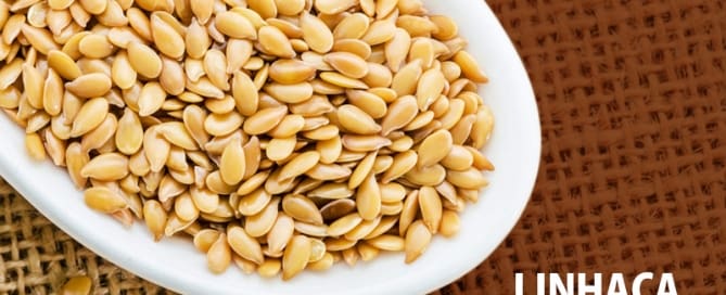 Linhaça faz bem ao organismo e à pele